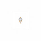 Nolia White