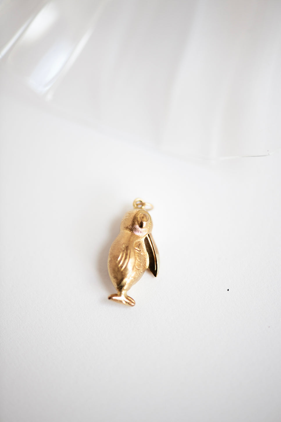 Vintage Bold Pelican