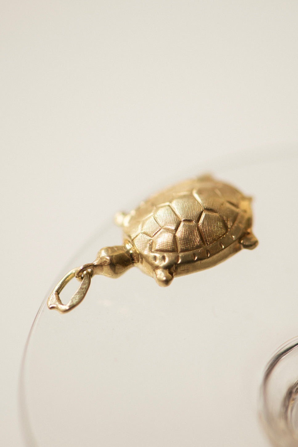 Vintage Turtle