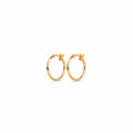 Classic hoops small