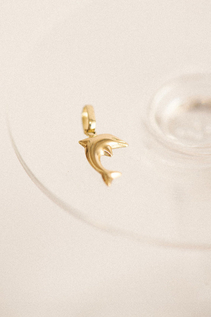 Vintage Dolphin