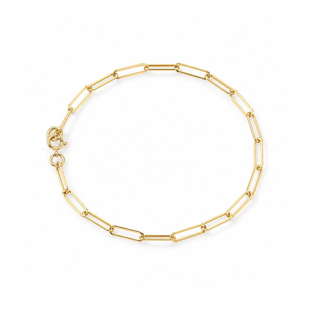 Luxury Loop Ankle bracelet
