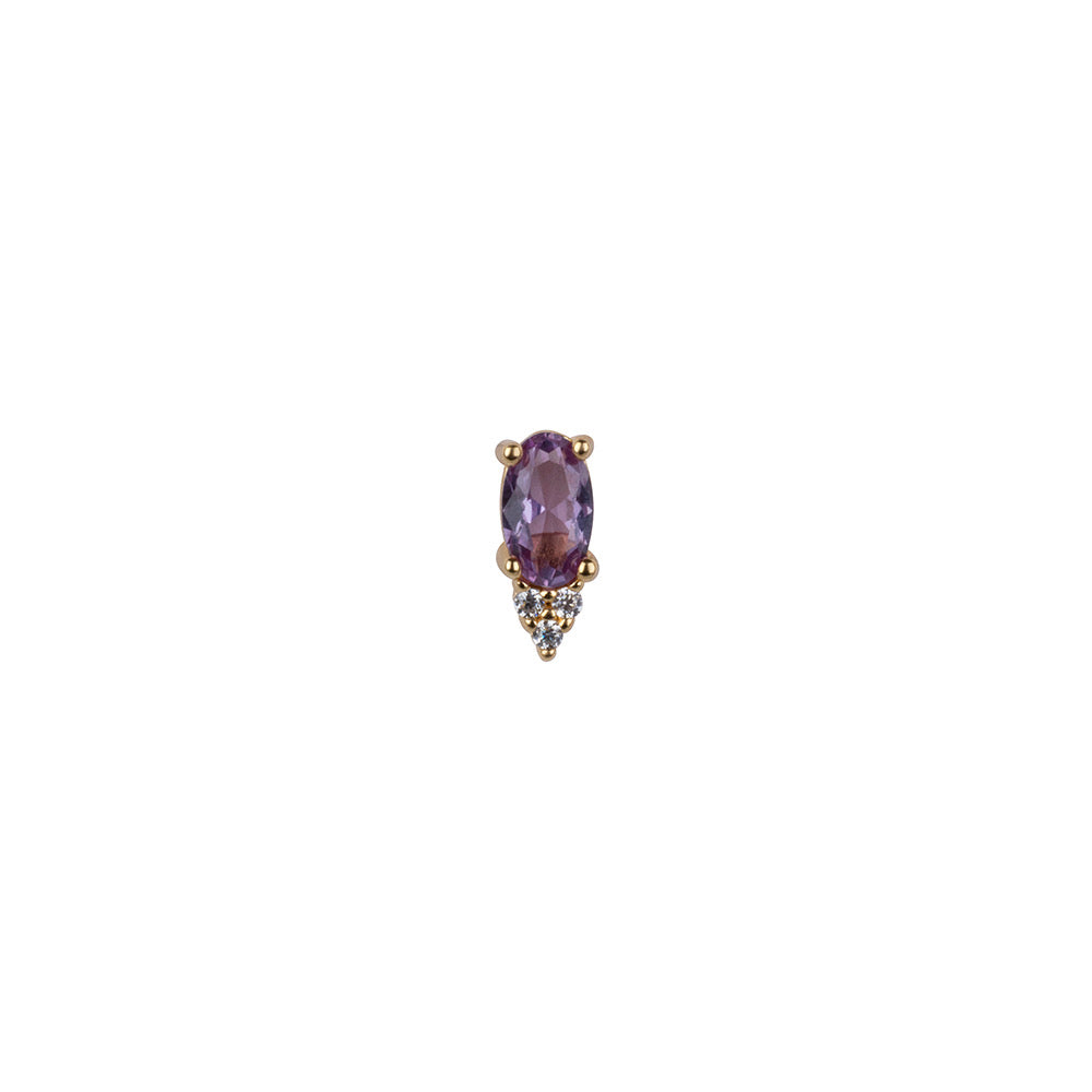 Holly purple