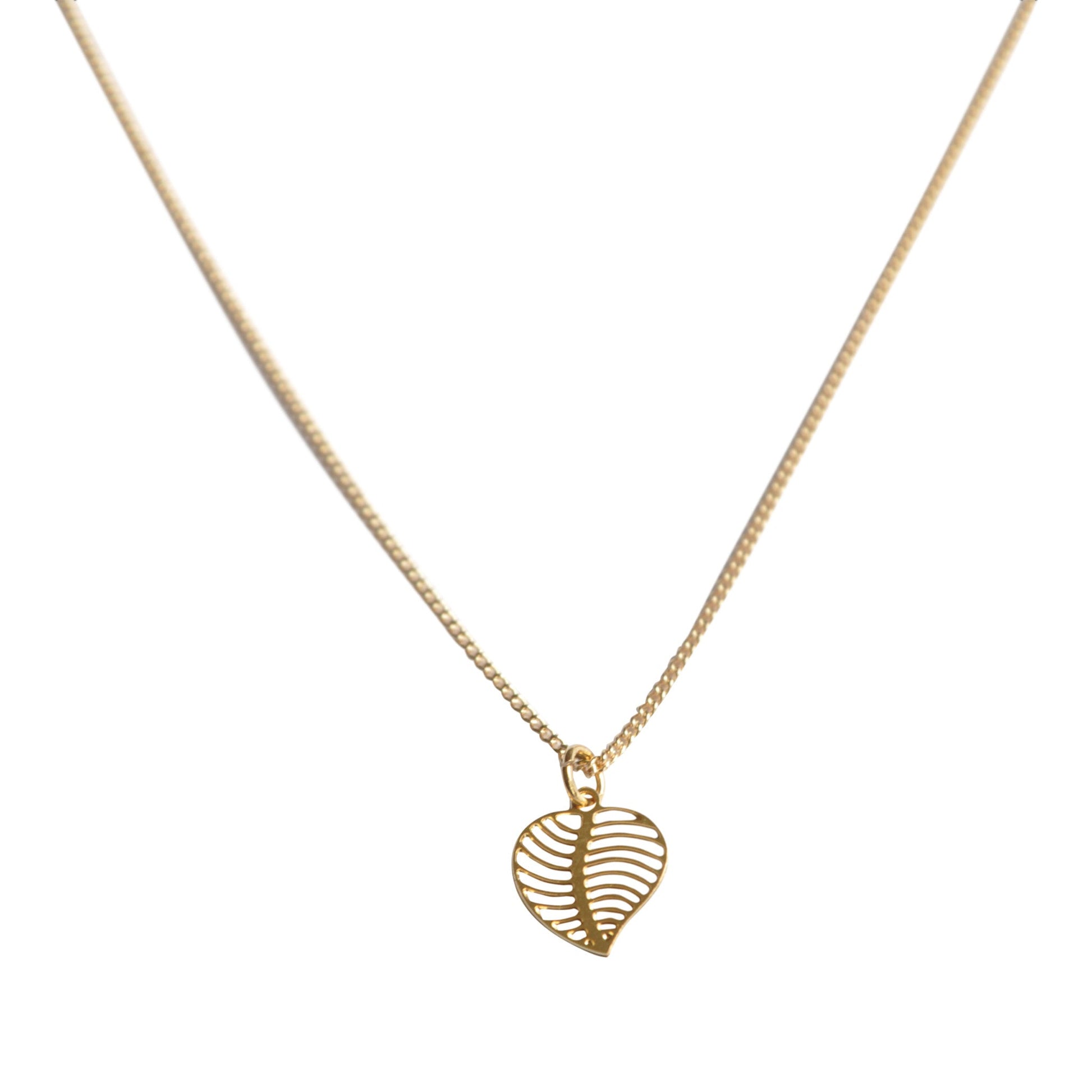 Heart Leaf
