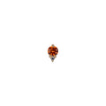 Nolia Orange